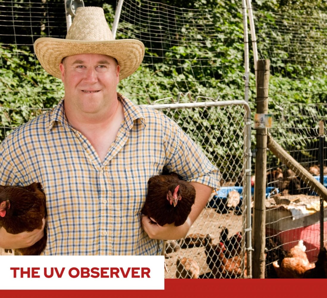 New Table-to-Farm Concept Lets Farmer See How You Cooked Chicken He Raised