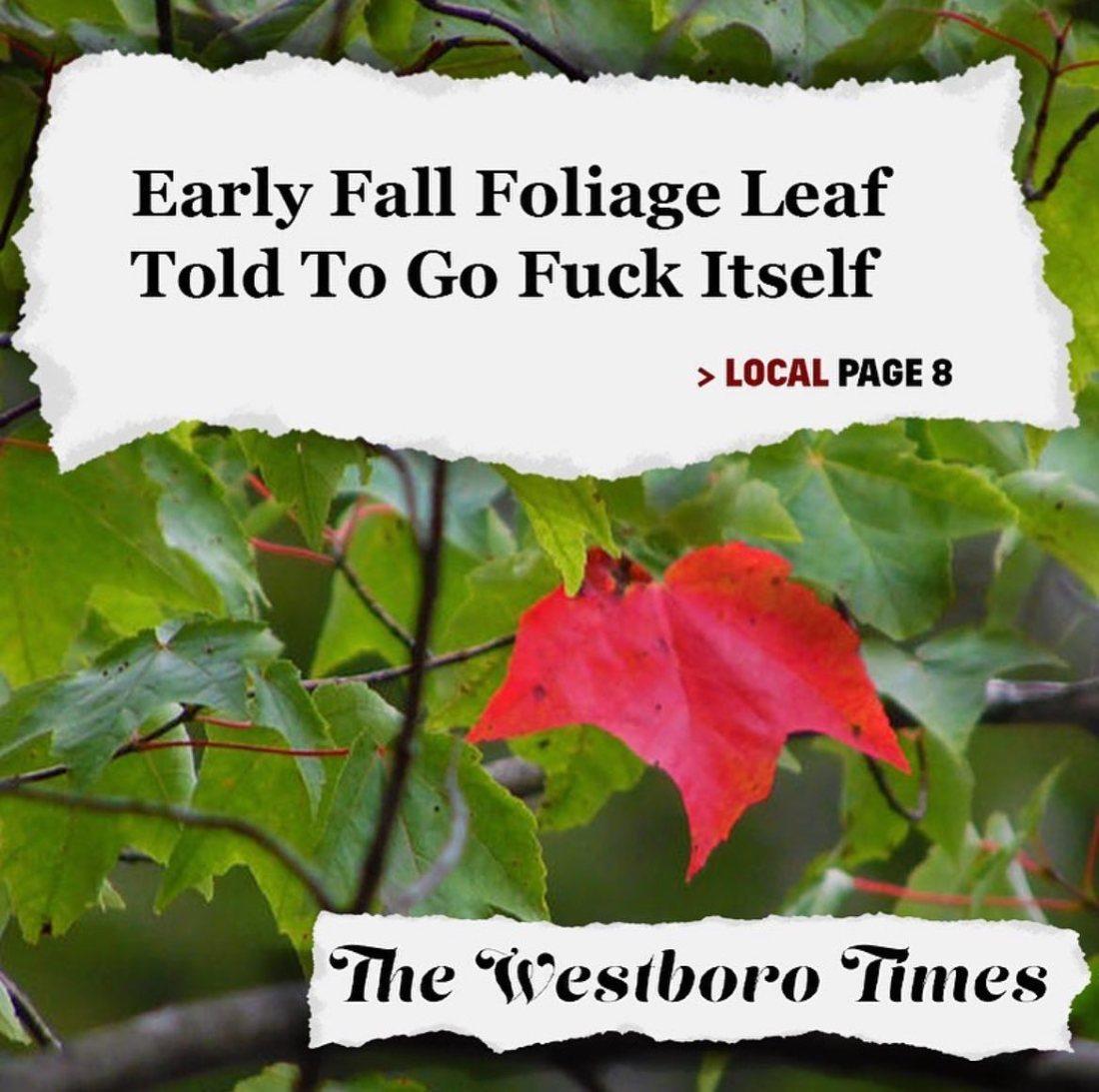 Early Fall Foliage Leaf Told To Go Fuck Itself