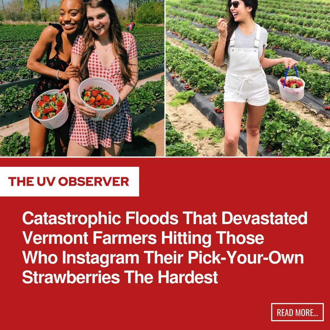 Catastrophic Floods That Devastated Vermont Farmers Hitting Those Who Instagram Their Pick-Your-Own Strawberries The Hardest