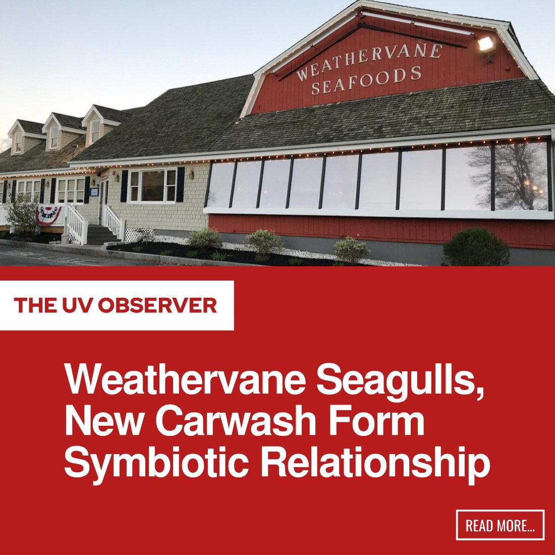 Weathervane Seagulls, New Carwash Form Symbiotic Relationship