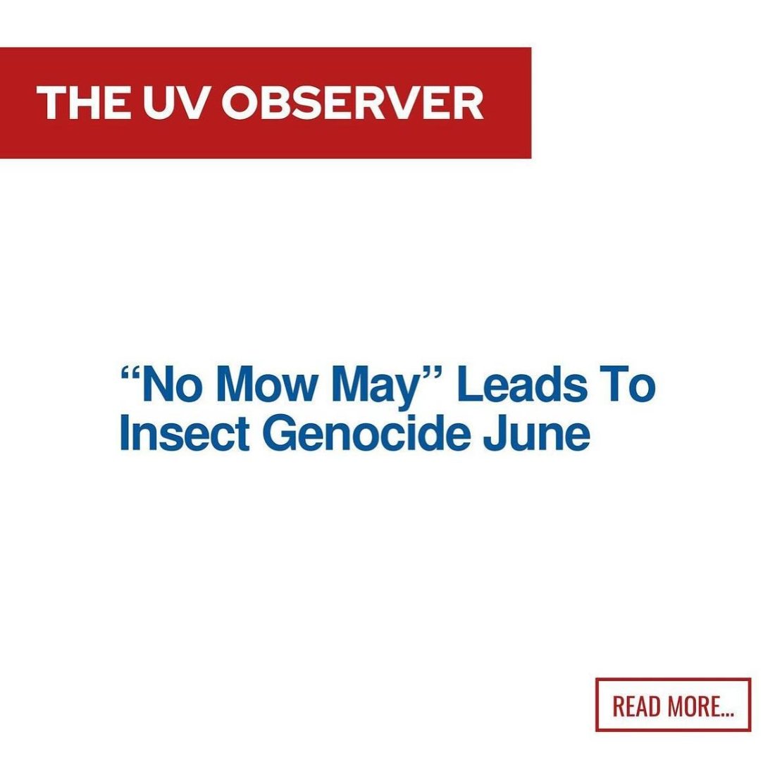 “No Mow May” Leads To Insect Genocide June