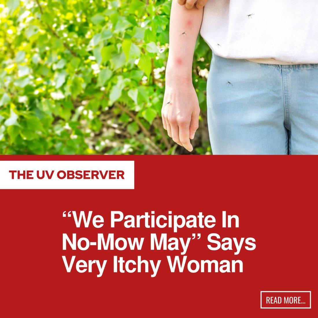 “We Participate In No-Mow May” Says Very Itchy Woman